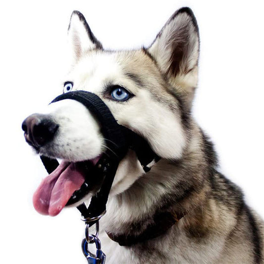 Dog Muzzle Adjustable Anti-bite Mask