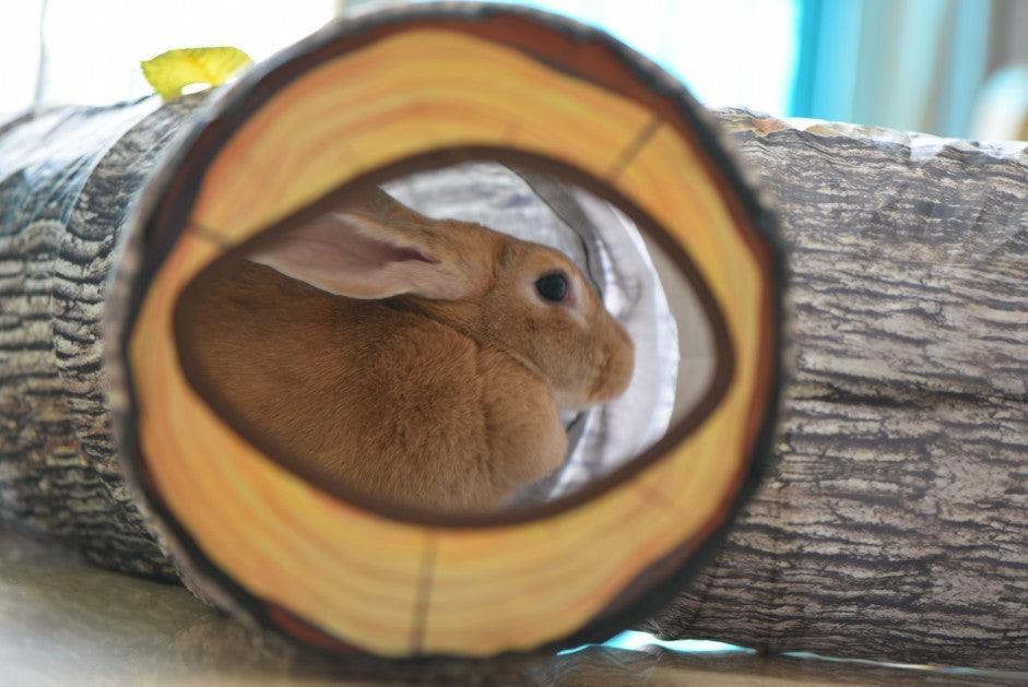 Tree Pattern Tunnel for Small Pets