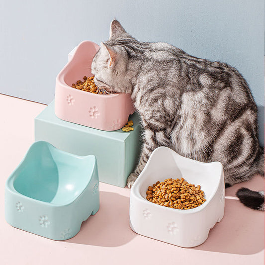 Ceramic Bowl for Pets