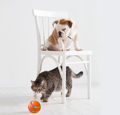 Self Rotating Intelligent Ball Toy