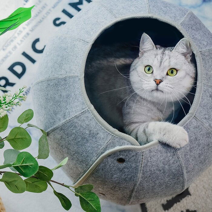 Indoor Foldable Cat Tunnel Toy